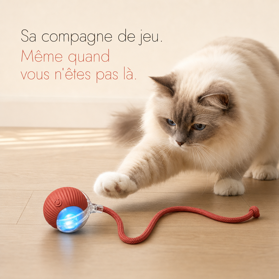 NÉKO — Balle interactive pour chat auto-roulante avec queue