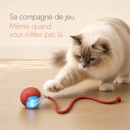 NÉKO — Balle interactive pour chat auto-roulante avec queue