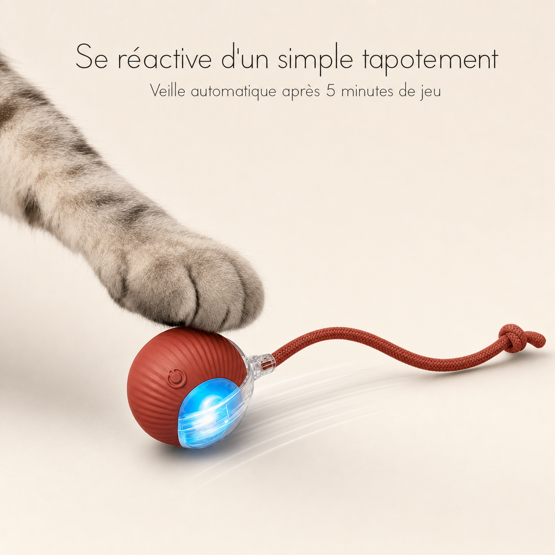NÉKO — Balle interactive pour chat auto-roulante avec queue