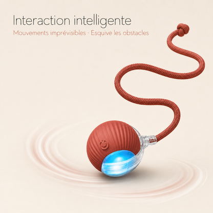 NÉKO — Balle interactive pour chat auto-roulante avec queue