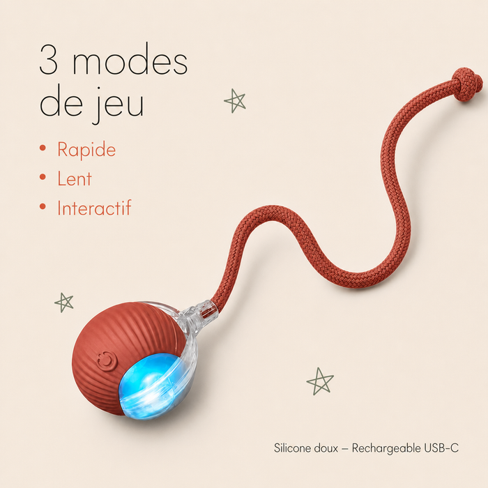NÉKO — Balle interactive pour chat auto-roulante avec queue