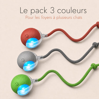 NÉKO — Balle interactive pour chat auto-roulante avec queue