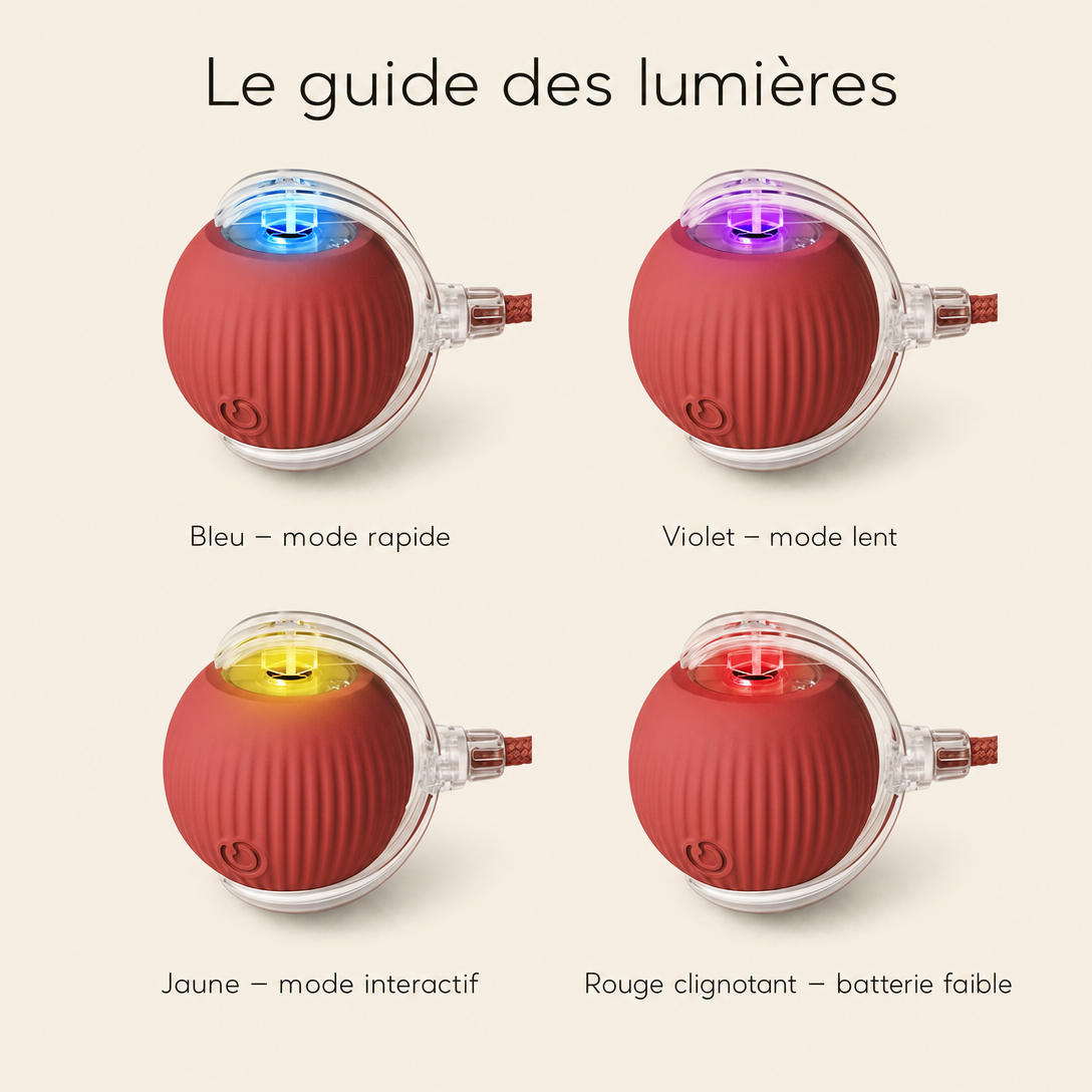 NÉKO — Balle interactive pour chat auto-roulante avec queue
